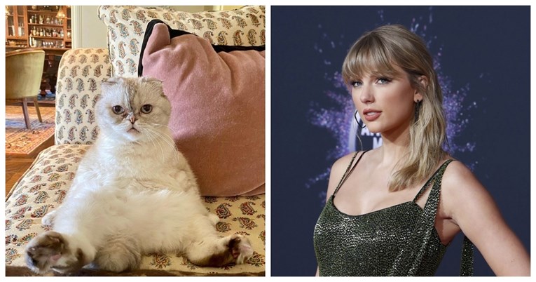 Mačka Taylor Swift vrijedi 91.5 milijuna eura 