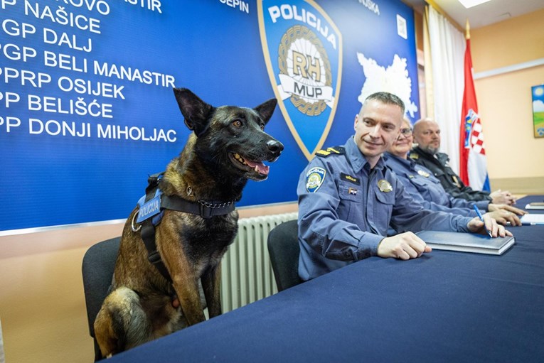 Policijski pas Don bio je zvijezda konferencije za medije, sjedio za stolom i pozirao
