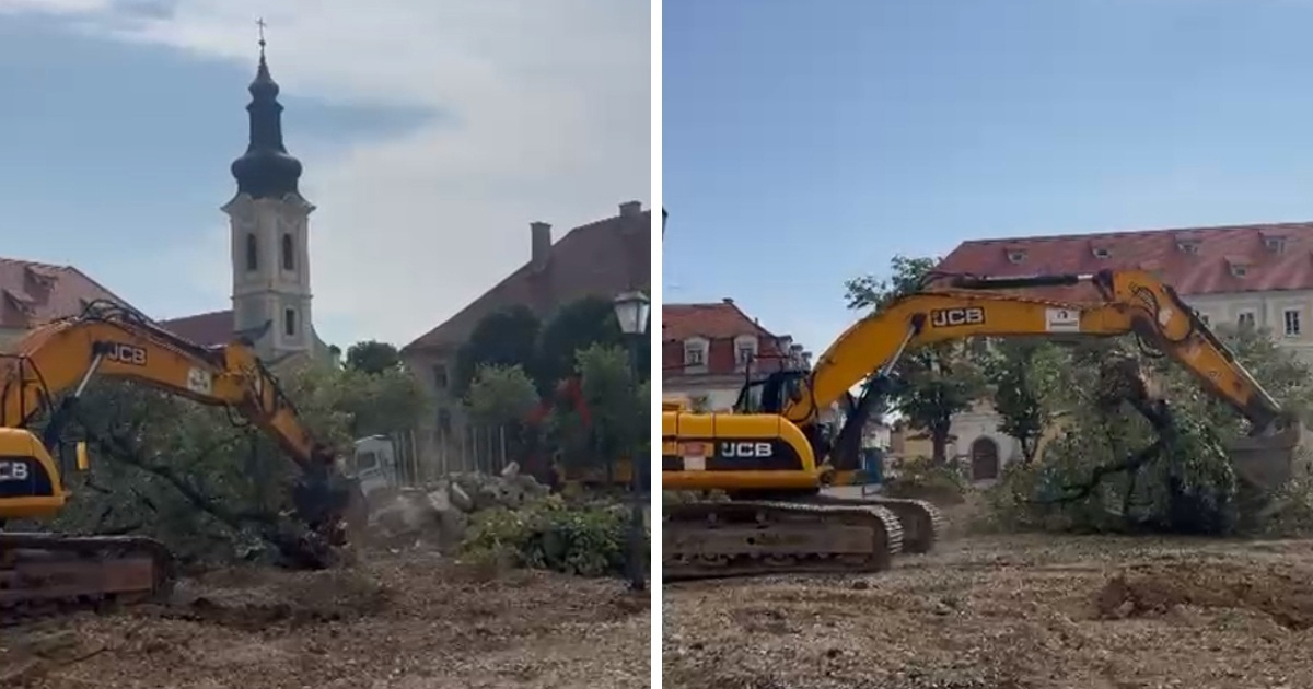 VIDEO Bagerom ruše lipe na glavnom karlovačkog trgu
