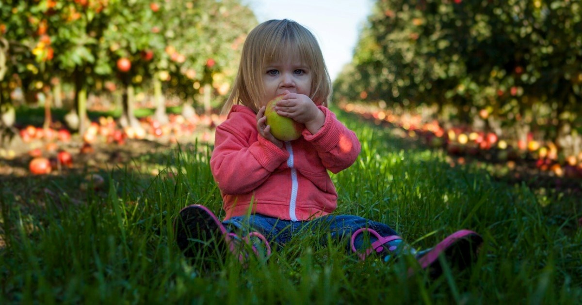 Najbolje voće i povrće za djecu: Šest namirnica koje trebaju jesti svaki tjedan