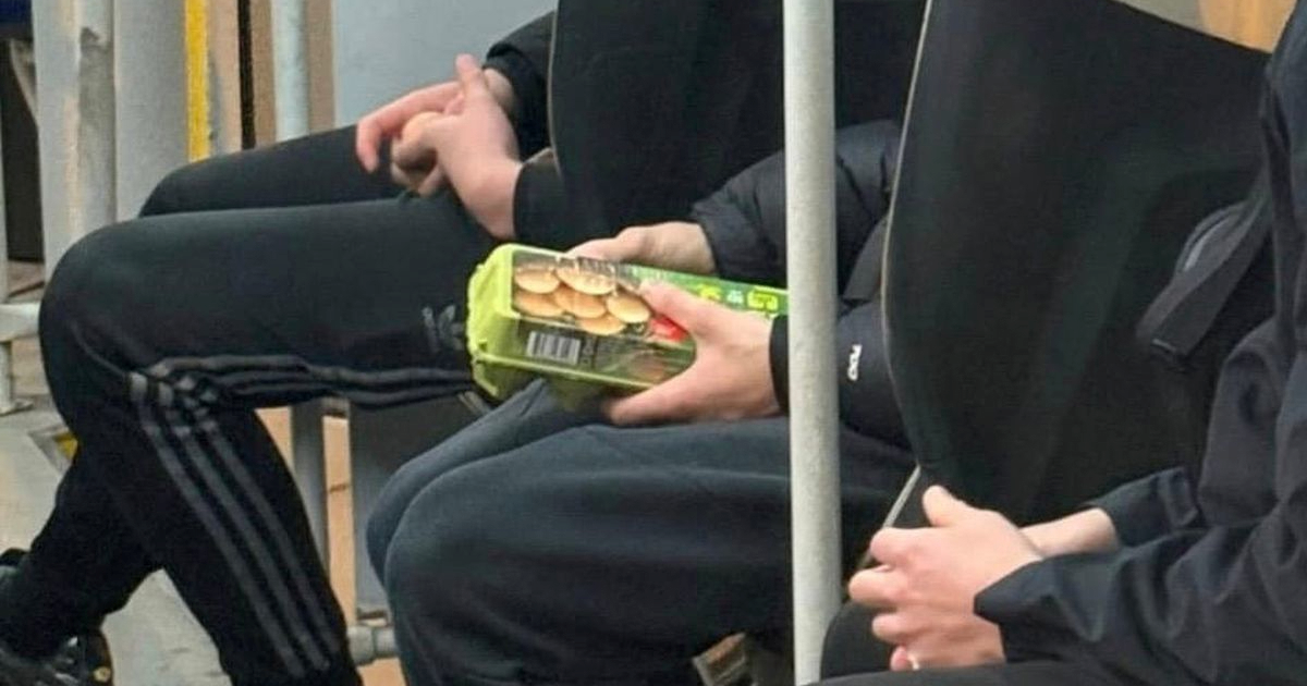 Maja Sever: Mladići u crnom jajima su gađali taksi koji je vozio Nepalac