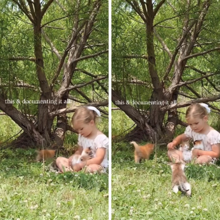 Mama je snimila presladak trenutak između kćeri i mačića. Ljudi pišu: "Kao iz filma"