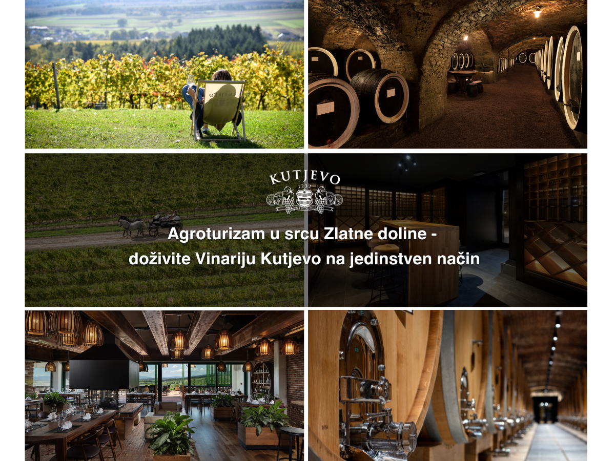 Proljeće i ljeto u Vinariji Kutjevo – vino, tradicija i okusi Zlatne doline