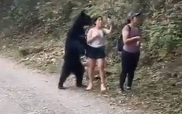 Snimka od koje zastaje dah: Medvjed se pojavio iza cure, ona snimila selfie s njim