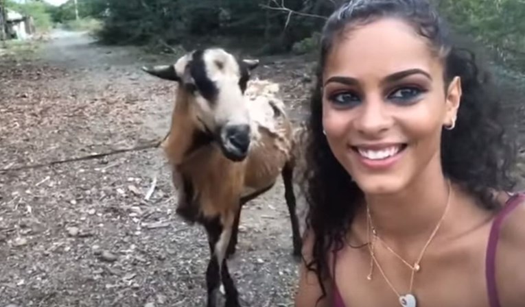 VIDEO Htjela snimiti selfie s kozom, doslovno joj se obilo o glavu