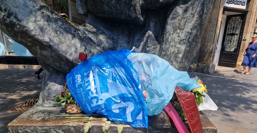 Pupovac: U vreći za smeće na Teslinom spomeniku je bio naš vijenac. Sve nam je jasno
