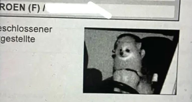 Vlasniku na adresu stigla kazna za prekoračenje brzine, za volanom uslikan njegov pas