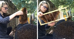 Erica spašava pčele golim rukama, njezine snimke na TikToku gledaju milijuni ljudi