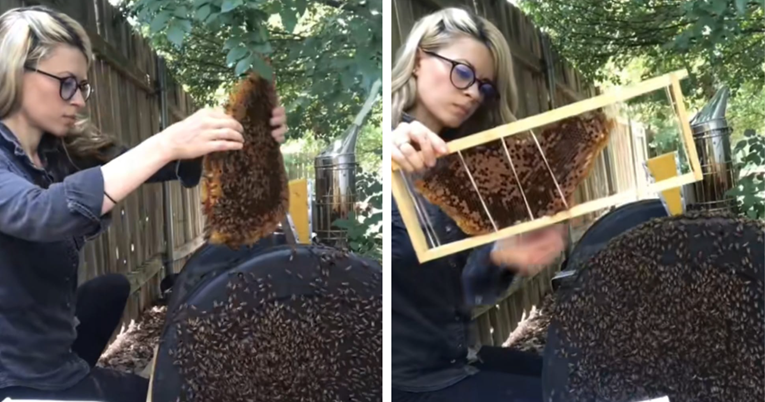 Erica spašava pčele golim rukama i sve snima, na TikToku je prati 11 milijuna ljudi