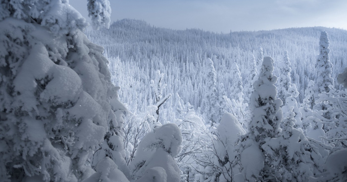 Mislite da je u Hrvatskoj snijeg problem? U ovim gradovima mjeri se u metrima