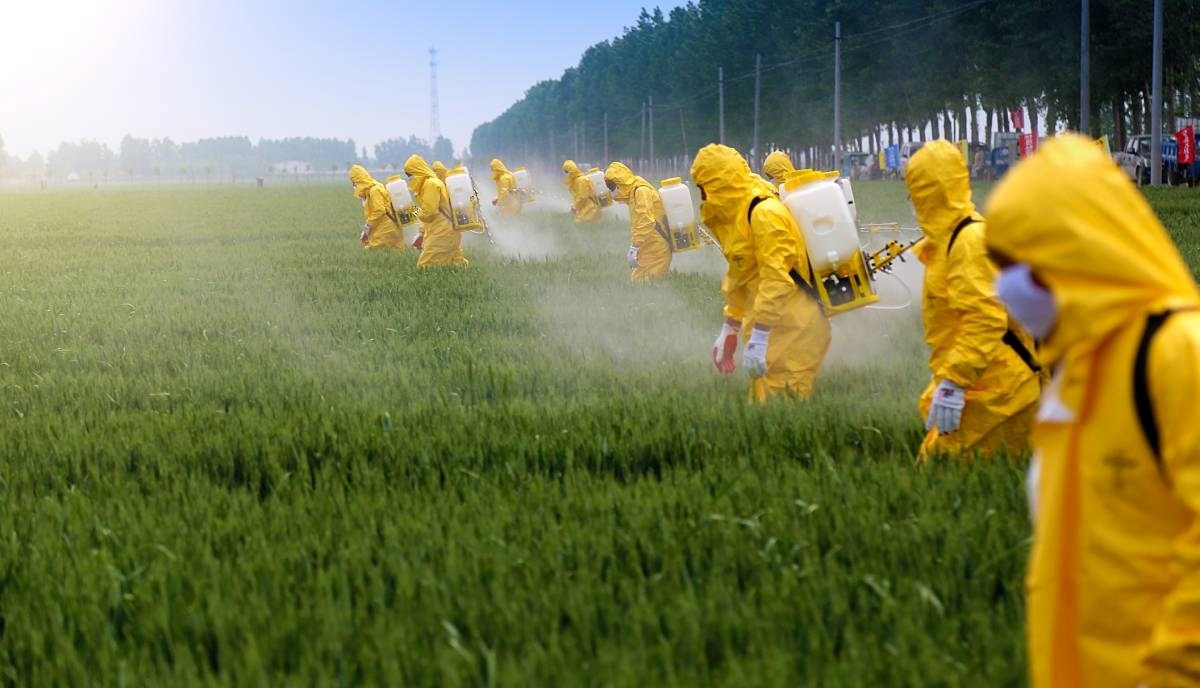 BBC: Pesticidi štete našim osjetilima, evo zašto se to događa