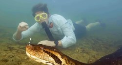 VIDEO Divovska anakonda pronađena mrtva. Biolog koji je plivao s njom: Ubili su je