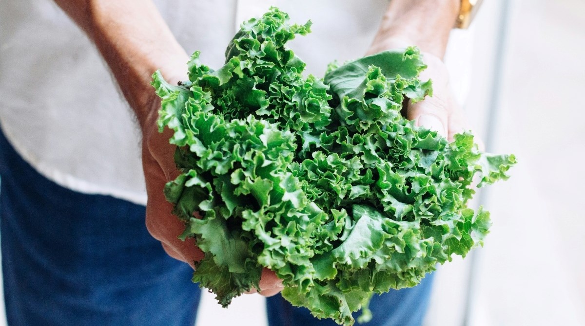 Liječnik tvrdi da su ove dvije namirnice najbolje za smanjenje upale i mršavljenje