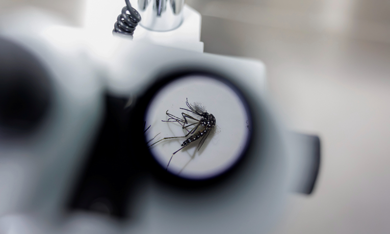 Komarci sve više napadaju ljude. Znanstvenici objasnili zašto