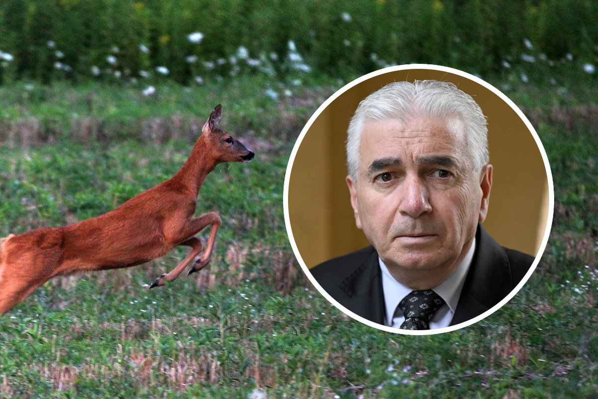 Vlada mijenja pravila lova. Zakup lovišta trajat će 20 godina