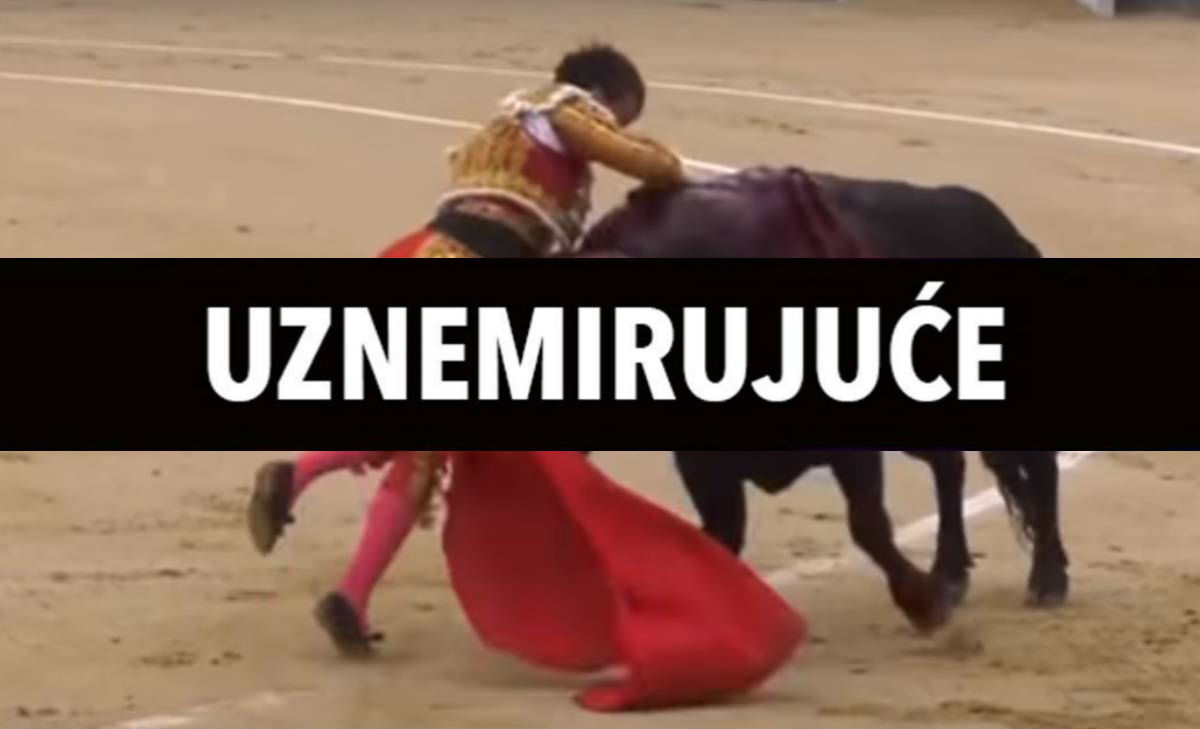 UZNEMIRUJUĆE Matadora u prepone izbo bik kojem je on zabio koplja u leđa