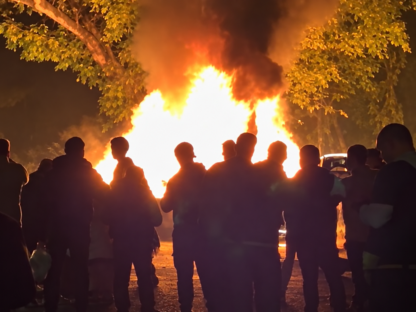 VIDEO Požar u Ćacilendu, gore i dva auta