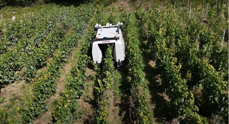 Moët&Chandon u svoje vinograde uvodi prve robote, ovako izgledaju