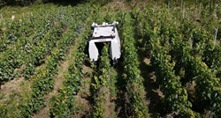 Moët&Chandon u svoje vinograde uvodi prve robote, ovako izgledaju