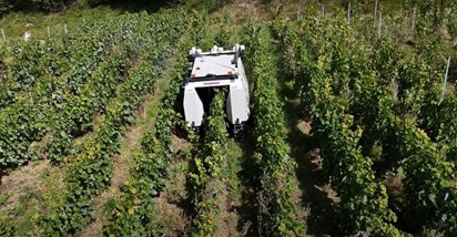 Moët&Chandon u svoje vinograde uvodi prve robote, ovako izgledaju
