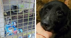 UZNEMIRUJUĆE Kod Zagreba mučila pse, objavljene jezive snimke. Ne ide u pritvor