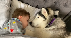 VIDEO Nerazdvojni su: Haski se ušulja u dječakov krevet kako bi spavali zajedno