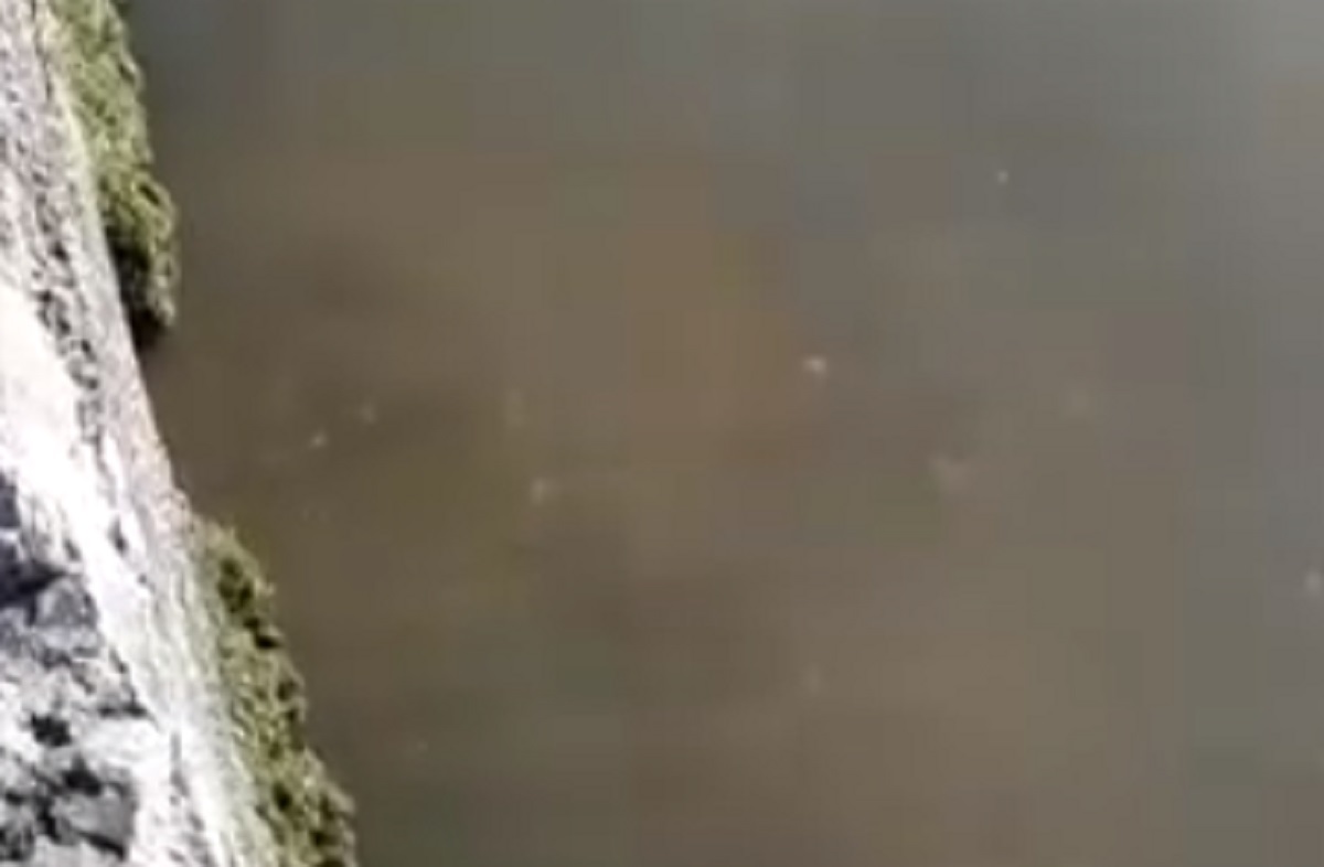 Pogledajte more na rivi u Kaštelima, vidi se kako izlaze fekalije