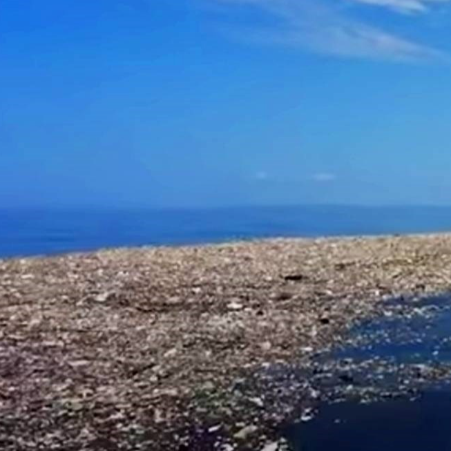 Veliki pacifički otok smeća je sada toliko ogroman da se na njemu razvio ekosustav