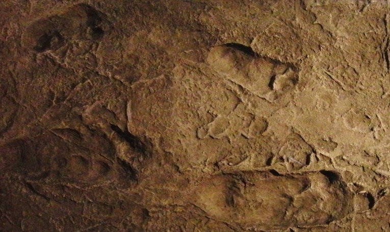 Otisci stopala stari 3.6 milijuna godina otkrivaju važne stvari o povijesti čovjeka