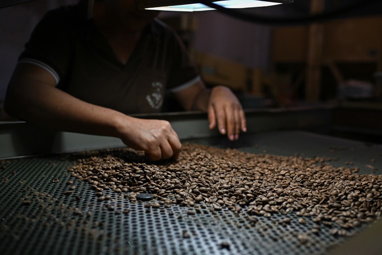 Brazil očekuje rekordan urod kave. "Cijene će i dalje ostati visoke"