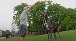Guinnessova knjiga rekorda ovog psa proglasila je najvišim na svijetu