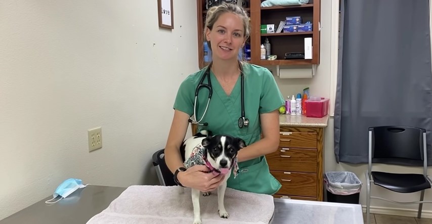Veterinarka je paraliziranom psu promijenila život, pomogla mu je da ponovo hoda
