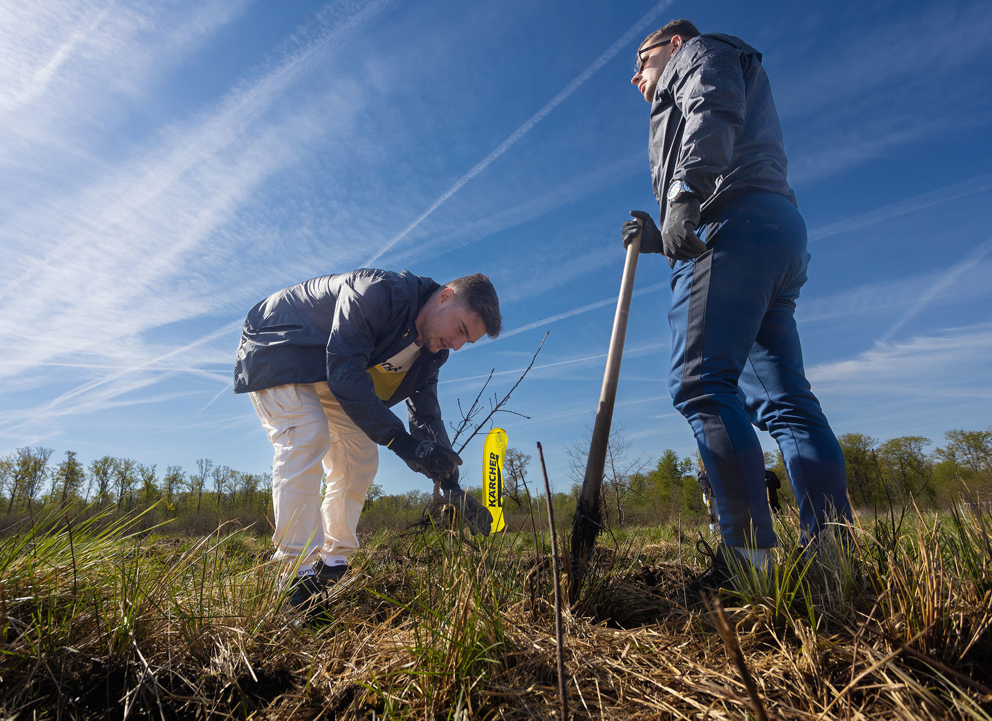 Tisuću hrastova za manji ugljični otisak