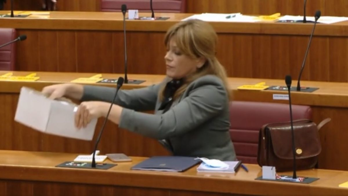 Pogledajte kako je Jandroković izbacio Krišto iz sabora jer je skinula masku