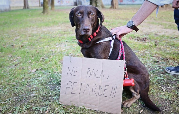 Prijatelji životinja: Milanović je podržao zabranu bučne pirotehnike