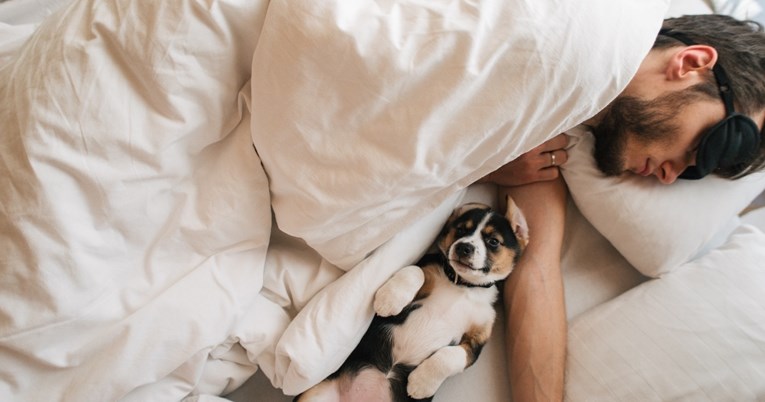 Evo zašto dijeljenje kreveta sa psom nije loša ideja