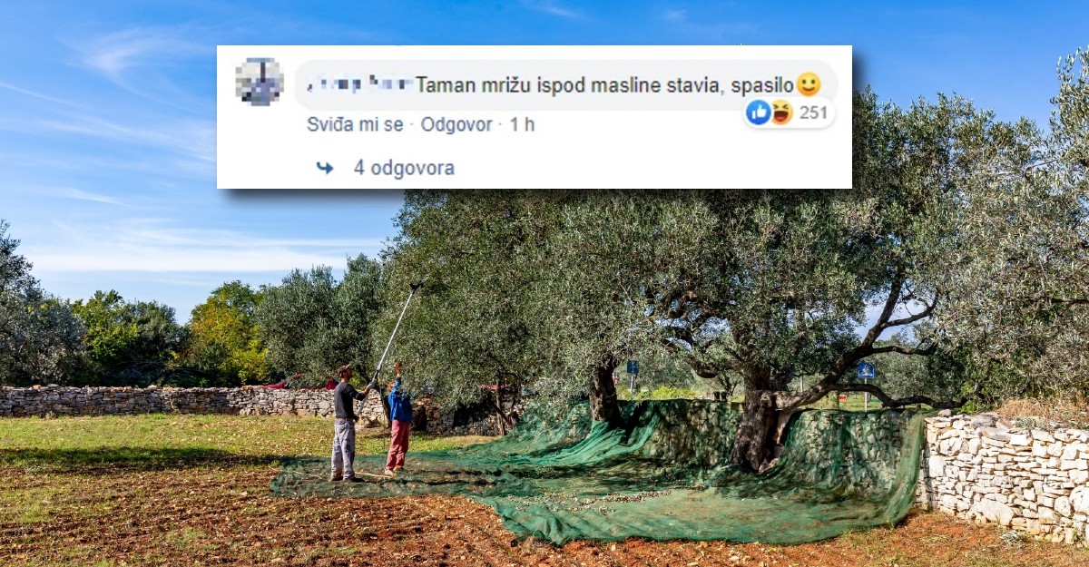 Dalmatinci se šale nakon potresa: Bar je masline strusilo pa ne treba brati