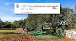 Dalmatinci se šale nakon potresa: Bar je masline strusilo pa ne treba brati