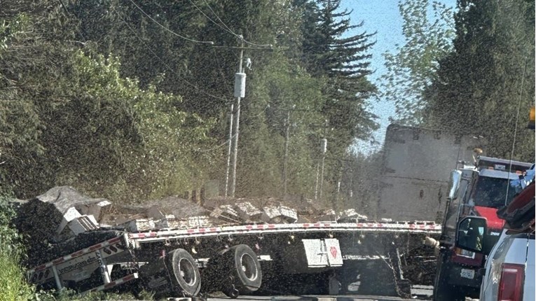 VIDEO U SAD-u se prevrnuo kamion s 250 milijuna pčela