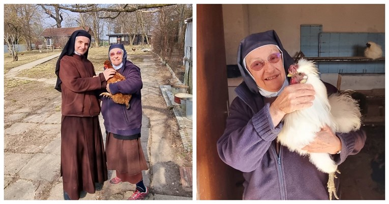 Časne sestre iz samostana u Brezovici udomile kokoš pronađenu u centru Zagreba