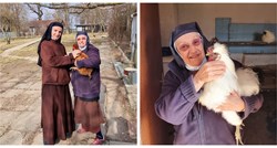 Časne sestre iz samostana u Brezovici udomile kokoš pronađenu u centru Zagreba