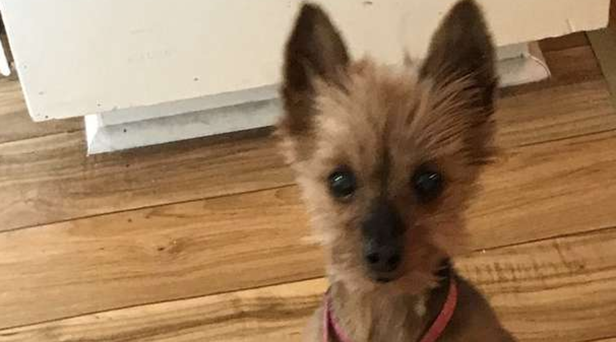 Nije bila u centru pažnje, pa je napravila nešto urnebesno da je dobije