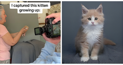 Fotkala svog mačka iz godine u godinu i pokazala kako je rastao, fotke su predivne