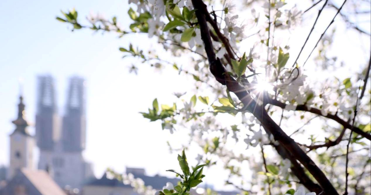 Stiglo nam je proljeće 😊🪷🌸