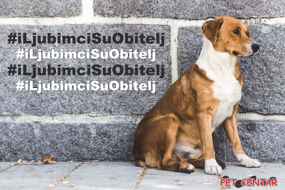 #iLjubimciSuObitelj: Ne napuštajte ljubimce tijekom godišnjeg odmora