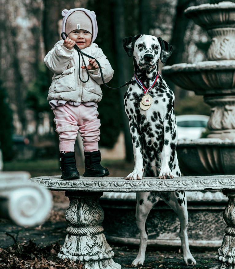 Psi imaju jednu iznenađujuću stvar zajedničku s malom djecom