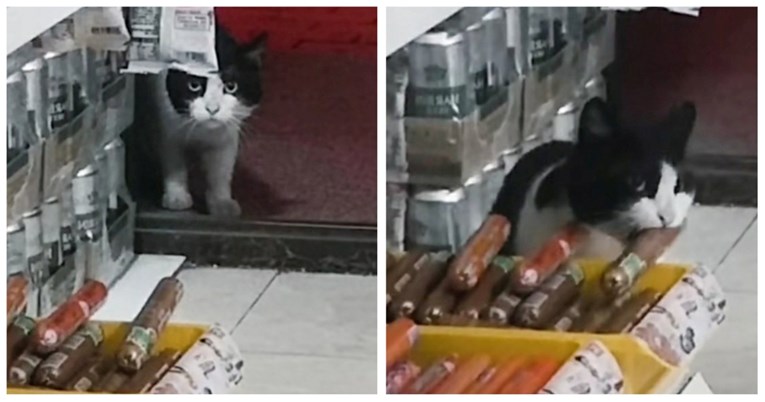 "Mislio je da nitko neće primijetiti": Mačak se ušuljao u trgovinu i ukrao kobasicu