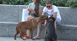Vlasnik u centru Zagreba podijelio sladoled sa psima, prizor oduševio prolaznike