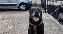Napustio je psa nakon 10 godina, poruka koju je ostavio uz njega razbjesnila ljude