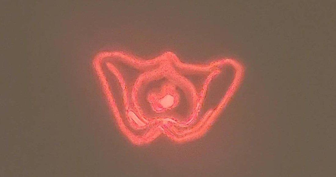 Majku zbunila igračka njezine kćeri, na Redditu odgonetnuli o čemu se radi